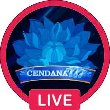 CENDANA777 - Balapan yang Menggugah Adrenalin